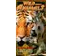 Wild About Animals - Wild About Animals: Africa & India [Alemania] [VHS]