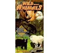 Wild About Animals - Wild About Animals: Canada Alaska & Scandinavia [Alemania] [VHS]
