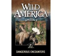 Wild America: Dangerous Encounters