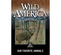 Wild America: Our Favorite Animals