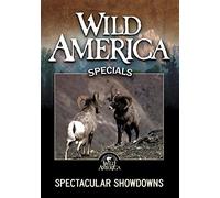 Wild America: Spectacular Showdowns