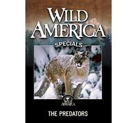 Wild America: The Predators