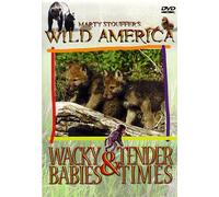 Wild America: Wacky Babies & Tender Times [USA] [DVD]