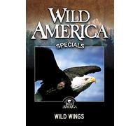 Wild America: Wild Wings
