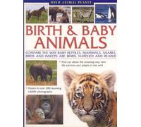Wild Animal Planet: Birth and Baby Animals: Compare the way reptiles, mammals, sharks, birds and insects are born, find out about the amazing way new life survives and adapts in the wild