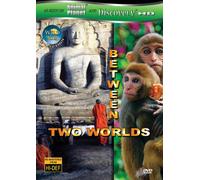Wild Asia: Between Two Worlds [USA] [DVD]