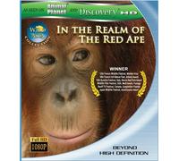 Wild Asia: In the Realm of the Red Ape [USA] [Blu-ray]