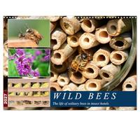 Wild bees - The life of solitary bees in insect hotels (Wall Calendar 2027 DIN A3 landscape), CALVENDO 12 Month Wall Calendar: A year at the wild bee hotel