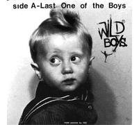 Wild Boys - Last One Of The Boys - Vinilo - Importación USA - Membran