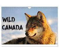 Wild Canada (Wall Calendar 2026 DIN A4 landscape), CALVENDO 12 Month Wall Calendar: Canada's most iconic wildlife photographed in their original environment.