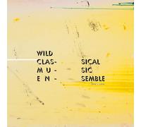Wild Classical Music Ensemble - Tapping Is Clapping [VINYL] [Vinilo]
