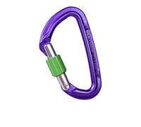 Wild Country Session Screw Gate mosquetón de rosca | EU Talla única in Purple/Green