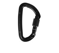 Wild Country Session Screw Gate mosquetón | EU Talla única in Black