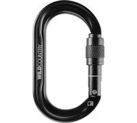 Wild Country Wild Oval Screwgate mosquetón ovalado de seguridad de escalada - Black
