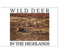 Wild Deer In The Highlands (Wall Calendar 2026 DIN A3 landscape), CALVENDO 12 Month Wall Calendar: Enjoy the majestic beauty of wild deer in its natural environment