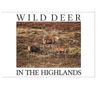 Wild Deer In The Highlands (Wall Calendar 2027 DIN A3 landscape), CALVENDO 12 Month Wall Calendar: Enjoy the majestic beauty of wild deer in its natural environment