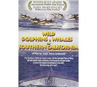 Wild Dolphins and Whales of Southern California