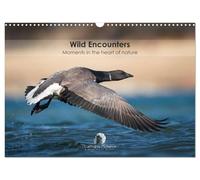 Wild encounters - Moments in the heart of nature (Wall Calendar 2026 DIN A3 landscape), CALVENDO 12 Month Wall Calendar: A captivating calendar that ... unforgettable moments in the heart of nature.