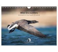 Wild encounters - Moments in the heart of nature (Wall Calendar 2026 DIN A4 landscape), CALVENDO 12 Month Wall Calendar: A captivating calendar that ... unforgettable moments in the heart of nature.