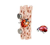 Wild Hiding Cave Simulation: Designed to support the molting process, this jumping spider habitat incorpora a natural hiding environment that reduce stress and promotes health activity, simulating