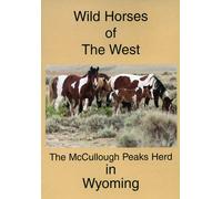 Wild Horses of the West: The McCullough Peaks Herd in Wyoming
