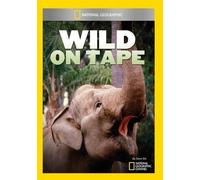 Wild On Tape (DVD) (Importación USA)