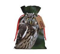 Wild Owl Birds - Bolsa de arpillera con cordón de Navidad, bolsas de regalo grandes con cordón, bolsas de regalo con etiqueta, bolsas de regalo de Navidad, bolsa de dulces de Navidad, bolsas