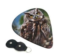 Wild Owl Birds - Paquete de 6 púas de guitarra con soporte de cuero para púas de guitarra, bolsa para llaves, púa de arte abstracto para guitarra eléctrica acústica, ukelele de 0.46 mm
