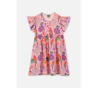 Wild Pippina 6A Rosa