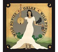 Wild Ponies - Galax (LP) [Vinilo]