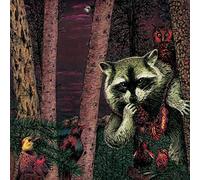Wild Raccoon - Half Pine Cone [Vinilo]