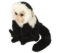 Wild Republic - CK Mini mono cariblanco/capuchino de peluche, 20 cm (12274)
