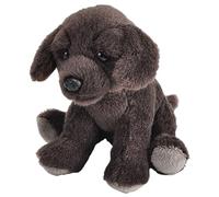 Wild Republic Pocketkins Eco Labrador Chocolate, Peluche, 12 cm, Juguete de Peluche, Hecho de Materiales Reciclados, Ecológico