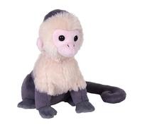 Wild Republic Rainforest Capuchino de Cara Blanca, Peluche, 15 cm, Juguete de Peluche, Relleno de Botellas de Agua Recicladas Hiladas