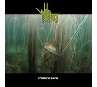 Wild Rocket - Formless Abyss [VINYL] [Vinilo]