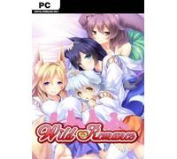 Wild Romance PC