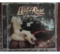 Wild Rose - Half Past Midnight