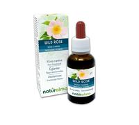 Wild rose o Rosa silvestre (Rosa canina) Flores emocionales o Flores de Bach Naturalma - Gotas 30 ml - Extracto hidroalcohólico líquido - Vegano - Fórmula original con Brandy
