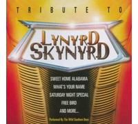 Wild Southern Boys - Tribute to Lynyrd Skynyrd