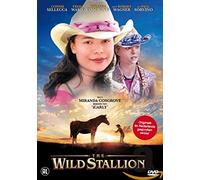 Wild Stallion