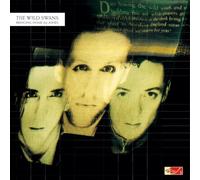 Wild Swans – Bringing Home The Ashes – Vinilo