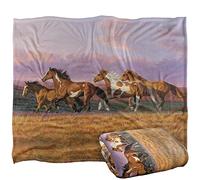 Wild Wings Sunset Cruise 2 Silky Touch Super Soft Throw Blanket 152 X 127 Cm