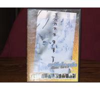 Wildcats - Nine Lives: Dvs Shoe Company [Edizione: Regno Unito] [Italia] [DVD]