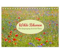 Wilde Blumen - ein Spaziergang durch die Natur (Tischkalender 2026 DIN A5 quer), CALVENDO Monatskalender: In den farbenfrohen Wildblumen zeigt sich die Artenvielfalt und Schönheit der Natur