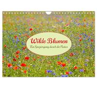Wilde Blumen - ein Spaziergang durch die Natur (Wandkalender 2026 DIN A4 quer), CALVENDO Monatskalender: In den farbenfrohen Wildblumen zeigt sich die Artenvielfalt und Schönheit der Natur