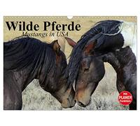 Wilde Pferde. Mustangs in USA (Wandkalender 2026 DIN A3 quer), CALVENDO Monatskalender: Die Mustangs der USA in Wyoming und Utah
