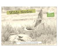 Wilde Seelen - Tierische Momente in Graphit (Wandkalender 2026 DIN A2 quer), CALVENDO Monatskalender: Wilde Schönheit, in Graphit gezeichnet.