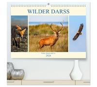 Wilder Darß - Fuchs, Hirsch und Co. 2026 (hochwertiger Premium Wandkalender 2026 DIN A2 quer), Kunstdruck in Hochglanz: Faszinierende Bilder der wilden Tiere vom Darß