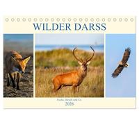 Wilder Darß - Fuchs, Hirsch und Co. 2026 (Tischkalender 2026 DIN A5 quer), CALVENDO Monatskalender: Faszinierende Bilder der wilden Tiere vom Darß