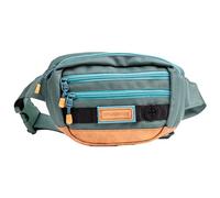 Wilderdog Utility Fanny Pack Stores Treats, Balls, Keys in 3 Pockets with Adjustable Strap and Poop Bag Dispenser (Evergreen)